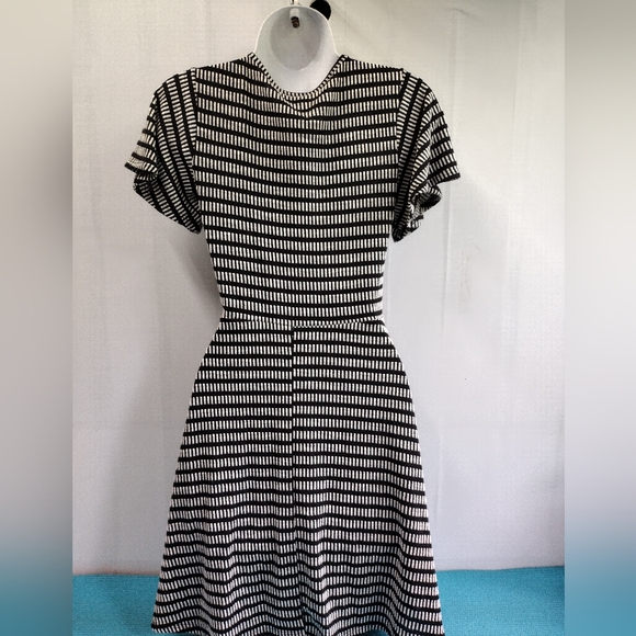 Caution to The Wind Women's Dress Striped A-line Black White Size S - Picture 3 of 8